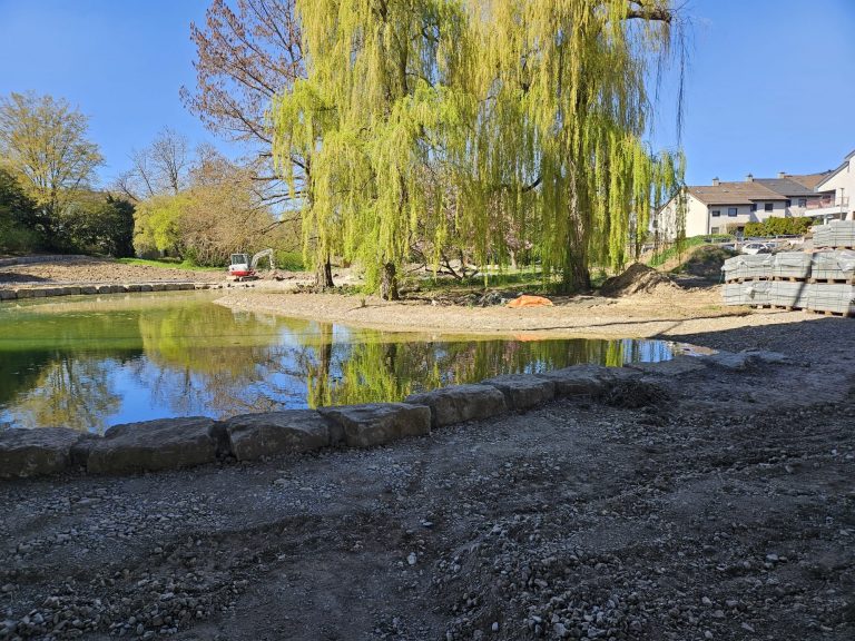 Weide_Teich_Kornwestheim
